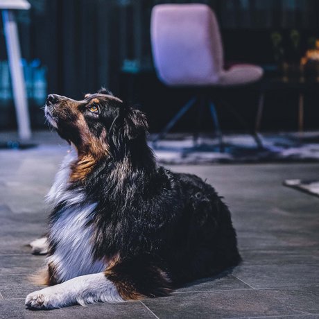 Lederer: digital photo album Lederer: digital photo album