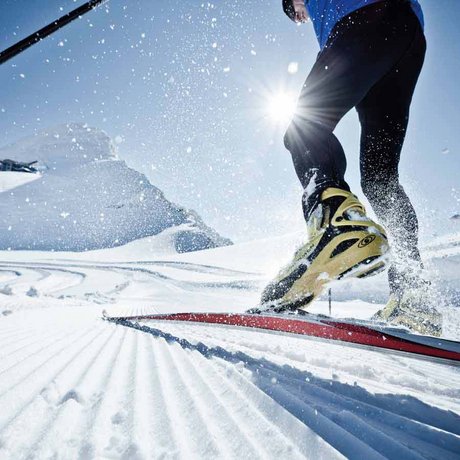 Lederer: digital photo album Lederer: digital photo album