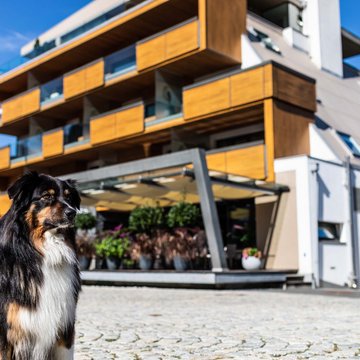 A dog’s life in Kaprun A dog’s life in Kaprun