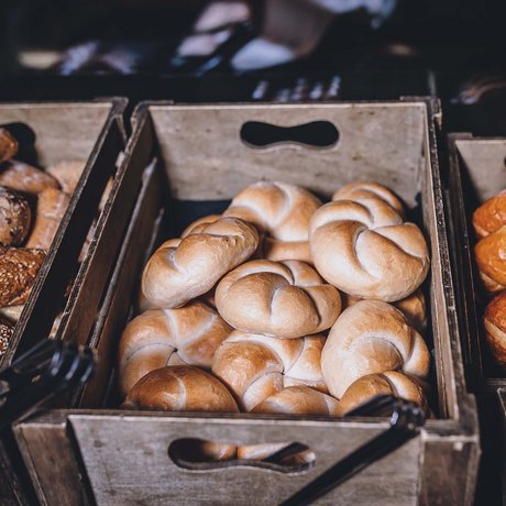 Lederer: digital photo album Lederer: digital photo album